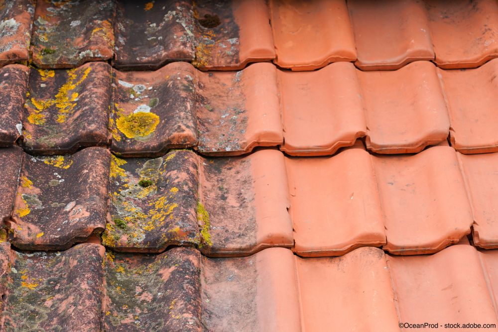 Tuiles avant et après le nettoyage à haute pression de la mousse et du lichen sur la surface du toit