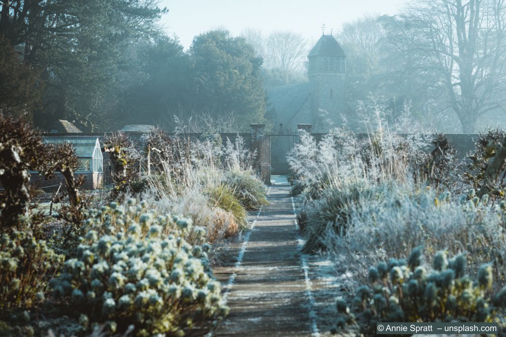 Garten-im-Winter
