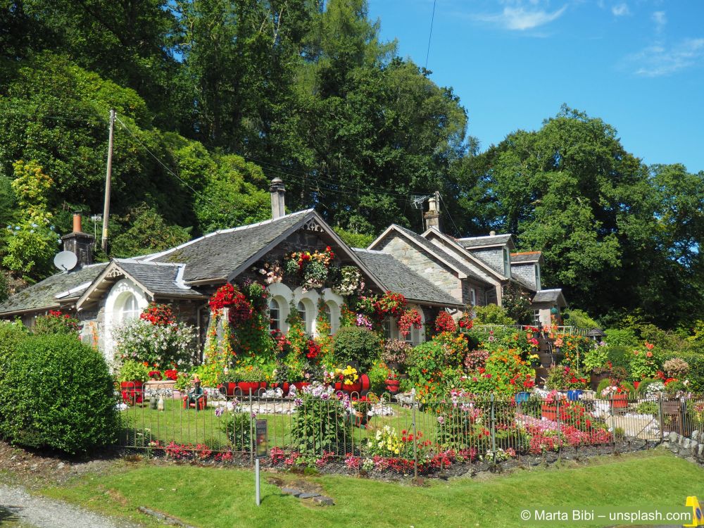 Mehrjaehrige-Pflanzen-auf einer -Terrasse