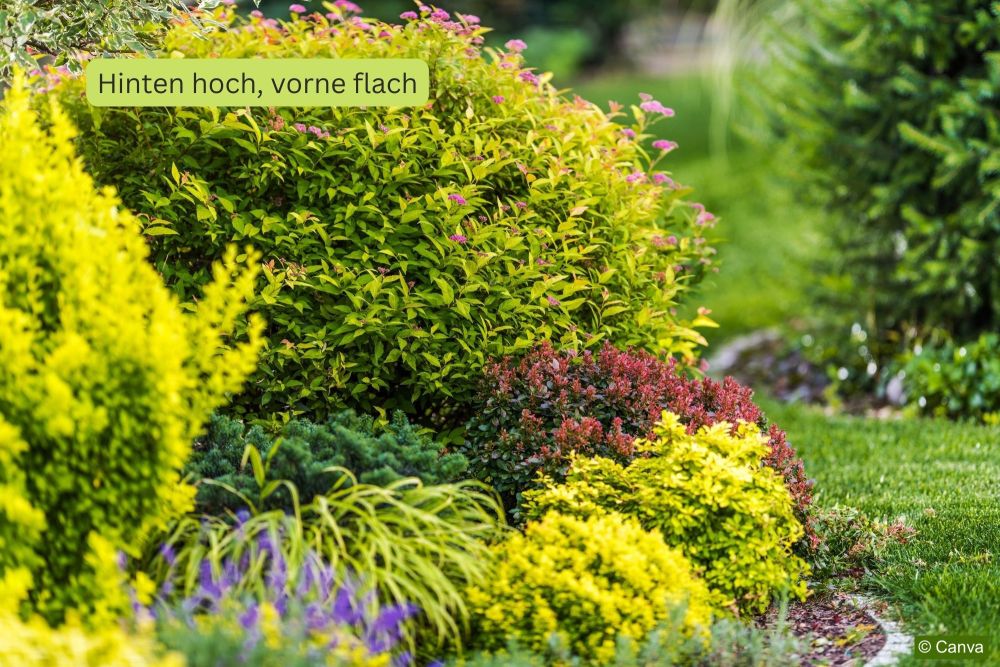 angelegte-Buesche-in-einem-Garten