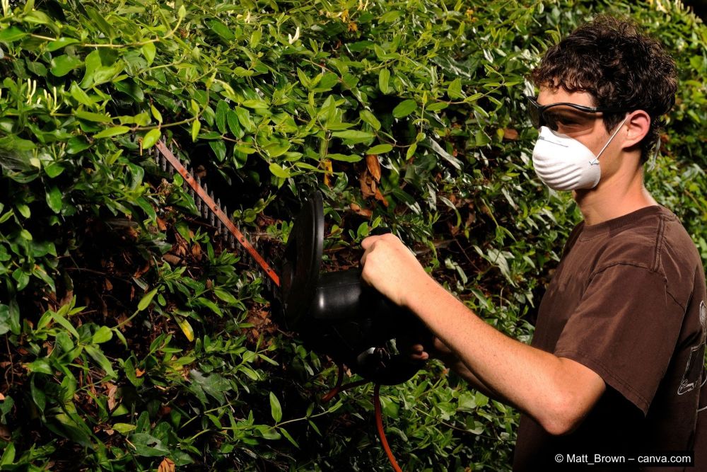 Mann-schneidet-Hecke