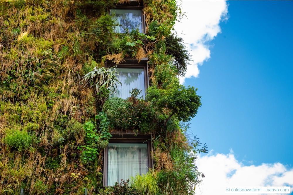 Pflanzen-an-Gebäudefassade