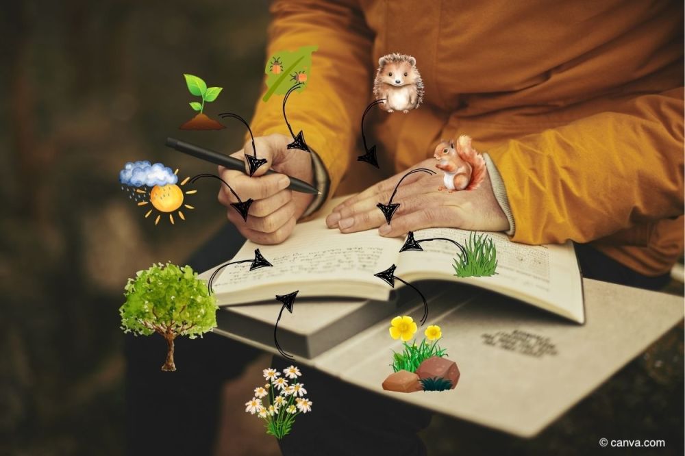 Mensch-macht-sich-Notizen-zu-Garten