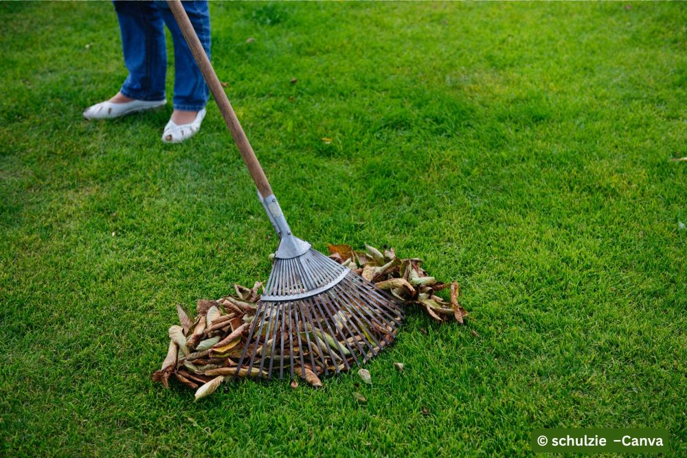 Laub-und-Aeste-werden-gerecht