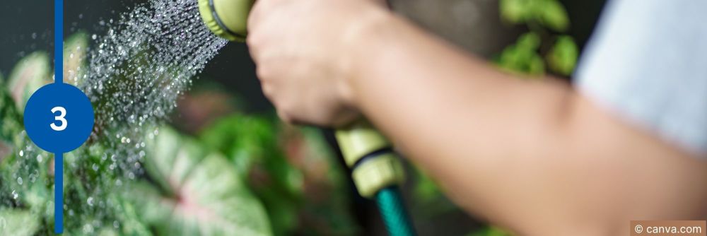 Gartenbewässerung – Giessbrause wässert Heckenpflanzen