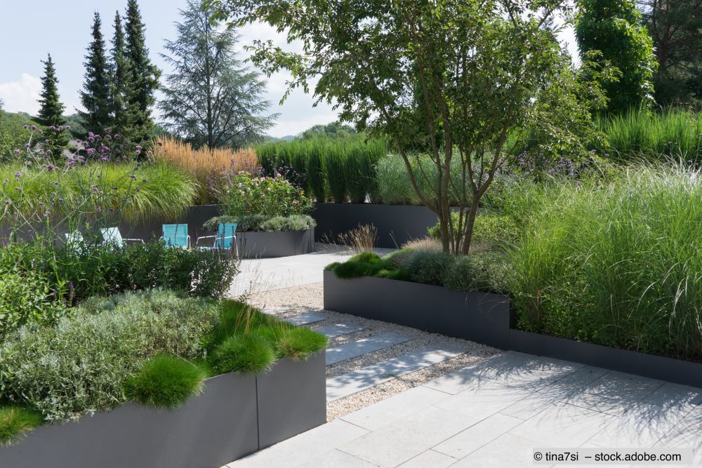 Staudenpflanzen-in-einem-Garten