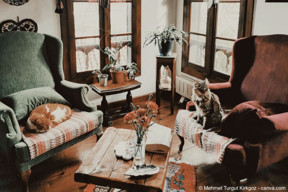 Haushaltsauflösung Ofri