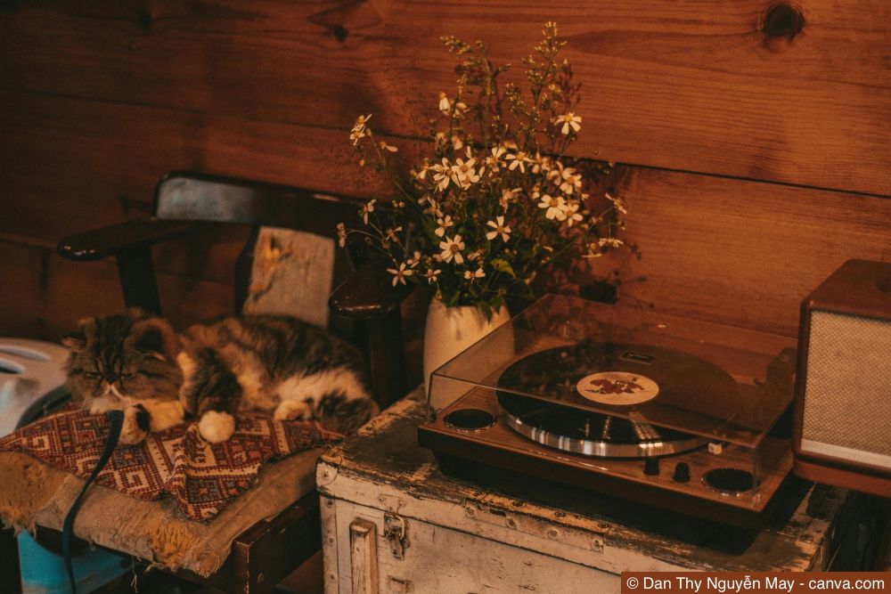 Haushaltsauflösung Schritt für Schritt