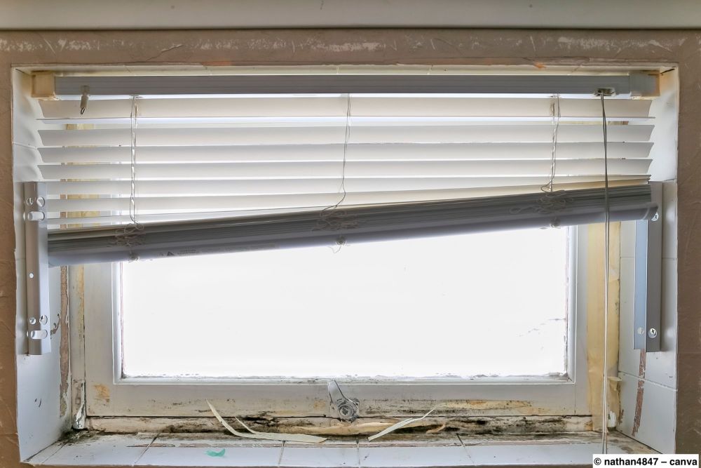 Schimmel am Kellerfenster
