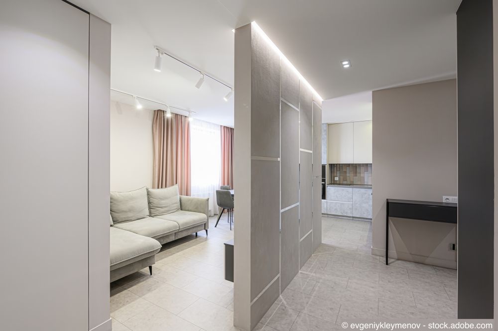 Trennwand als Raumteiler in modernem Wohnraum, trennt Wohnzimmer mit Sofa vom Flur und der Küche