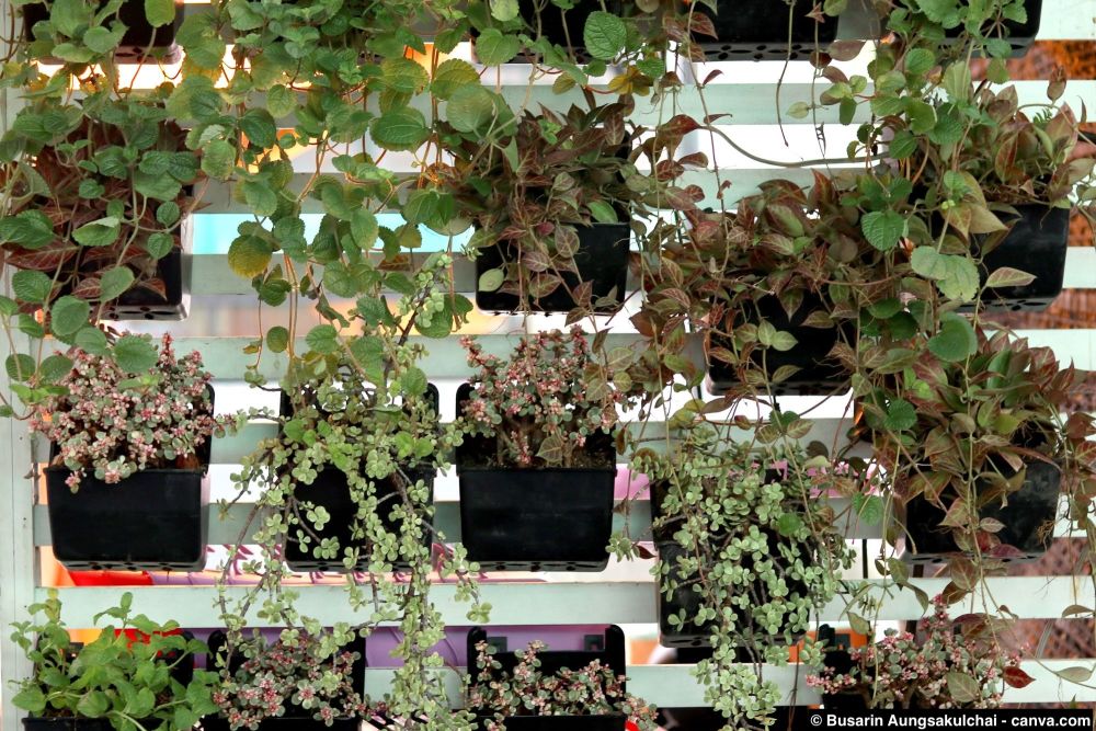 Vertikaler Garten mit mehreren schwarzen Pflanztöpfen an einer weissen Wandhalterung