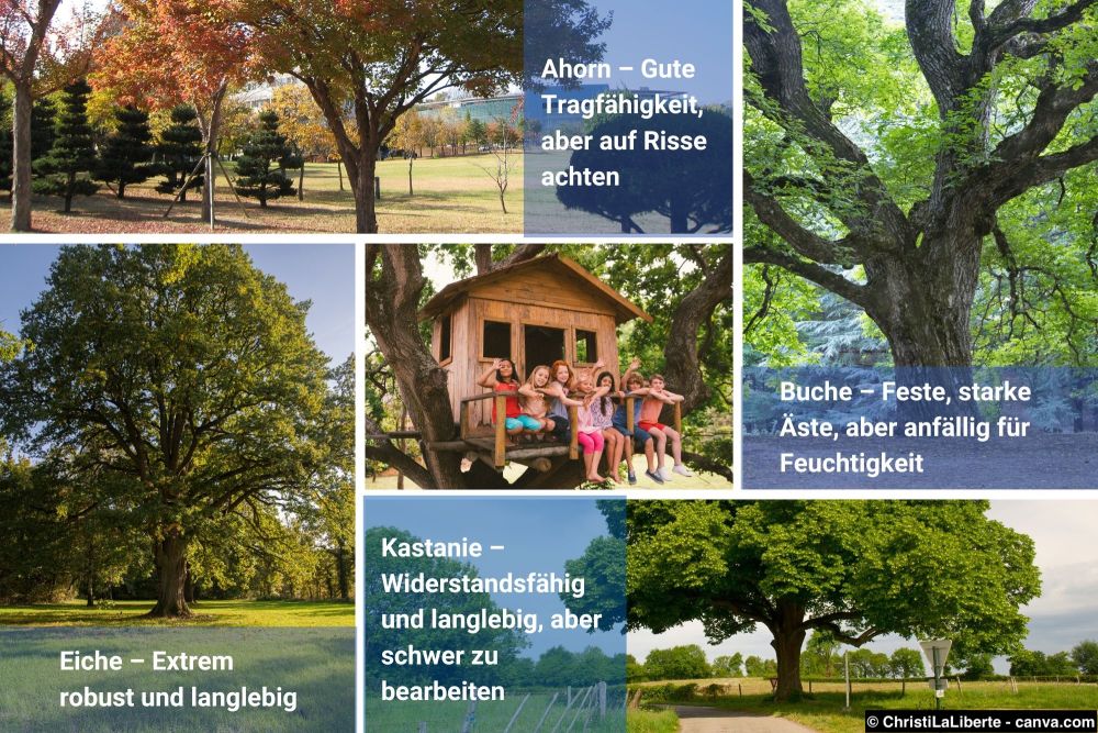 Collage verschiedener Baumarten wie Ahorn, Buche, Eiche und Kastanie mit kurzen Hinweisen zu deren Eigenschaften für den Baumhausbau.