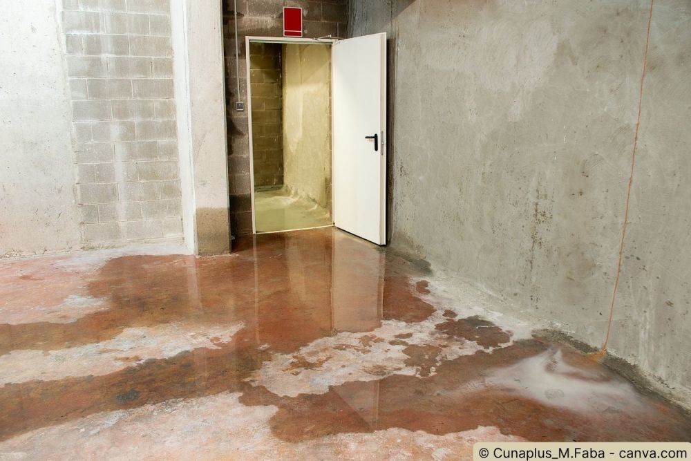 Wasserleck im Keller