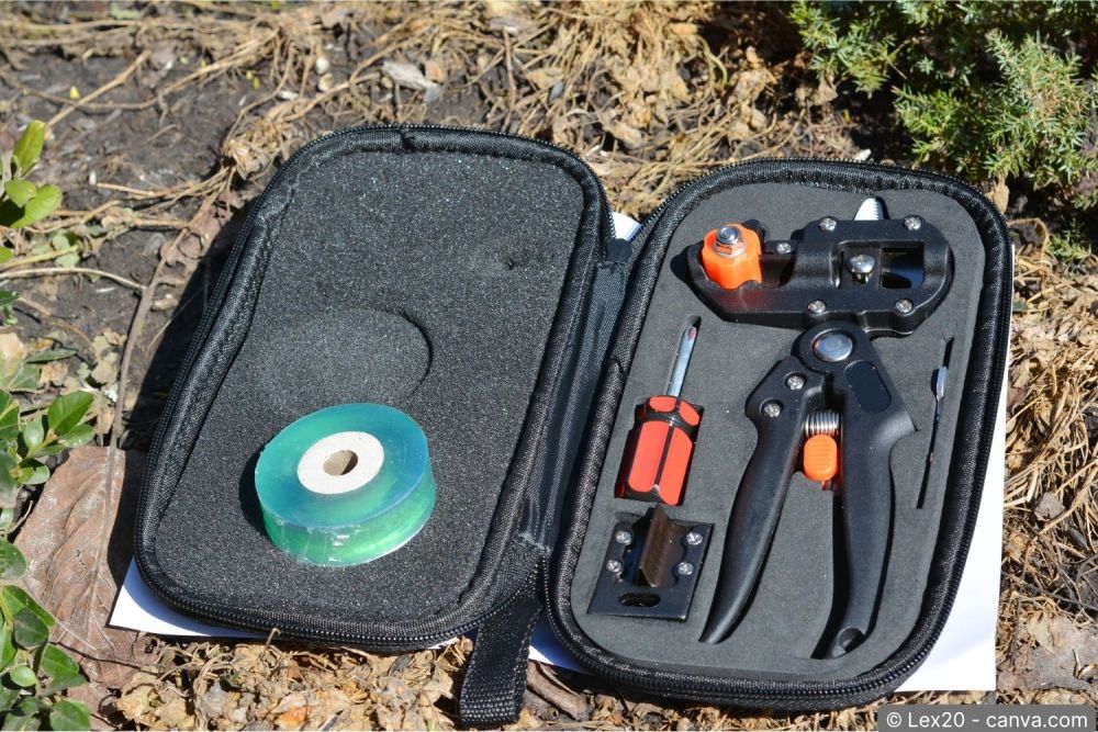 Werkzeug zum Apfelbaum veredeln – Pfropfmesser, Pfropfband und Baumwachs auf einer Gartenwerkbank