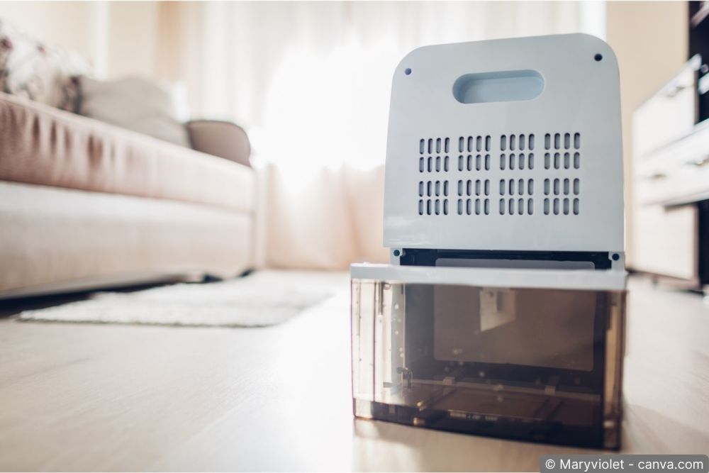 Elektrischer Luftentfeuchter im Wohnraum: so lässt sich die Luft entfeuchten