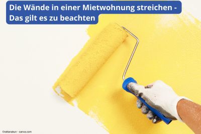 Wände streichen in einer Mietwohnung