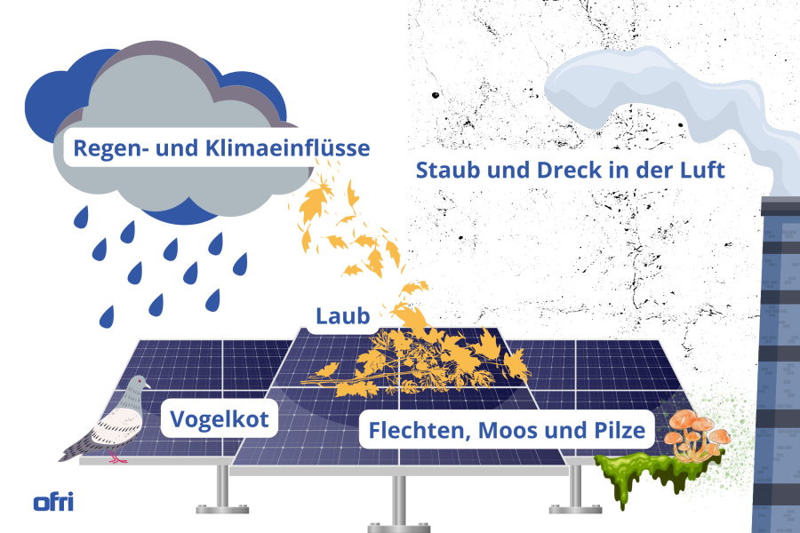 Infografik - Verschmutzungssarten bei einer Photovoltaikanlage