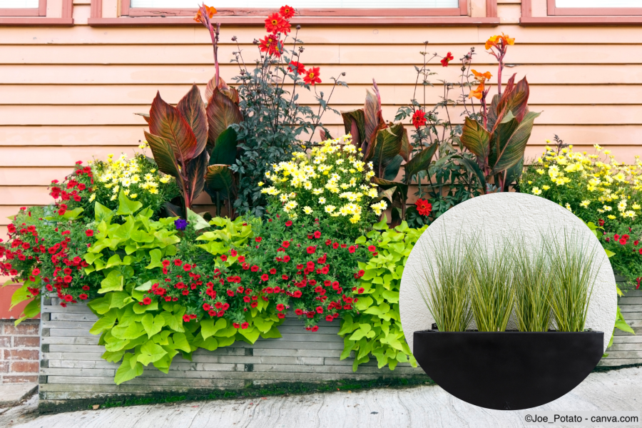 Sichtschutz aus Pflanzen für Balkon & Terrasse