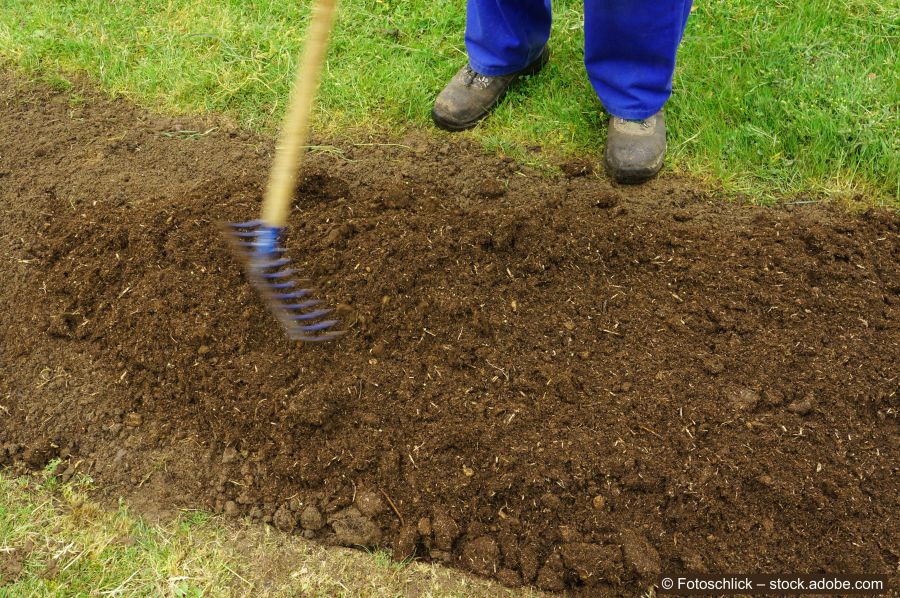 Mann ebnet Erde mit einer Holzharke