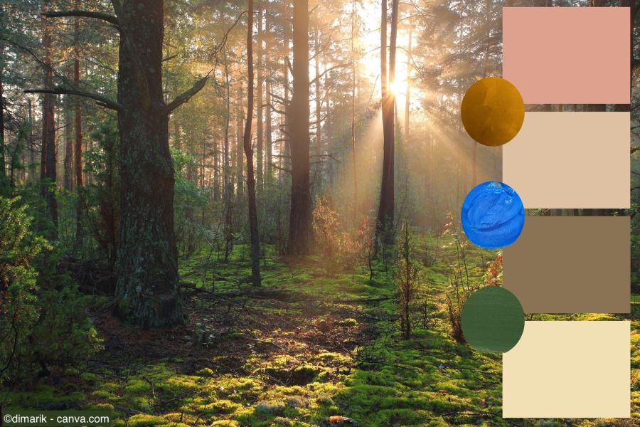 Die Farben der Wohntrends 2025