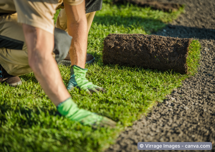 Gaertner verlegt Rollrasen
