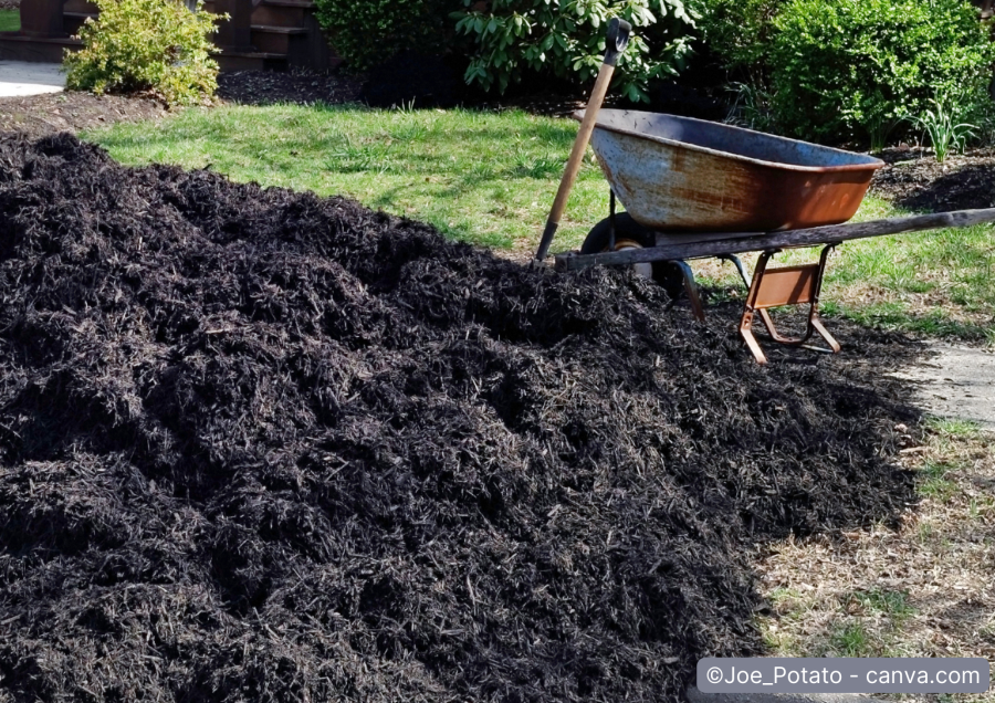 Schubkarre neben Komposthaufen im Garten