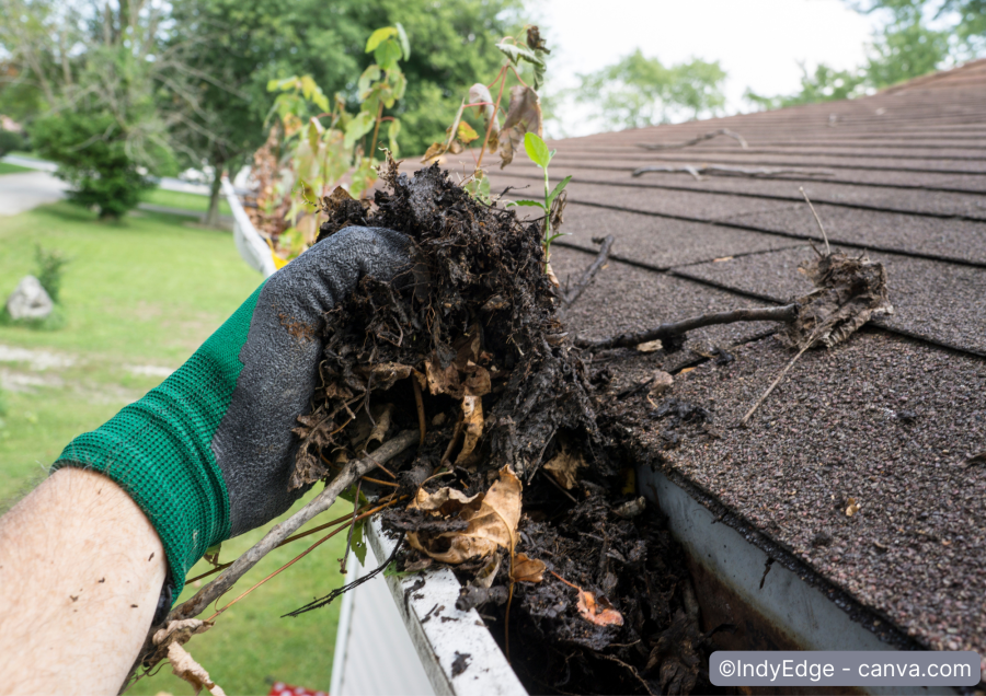 Dachrinne wird von Laub befreit