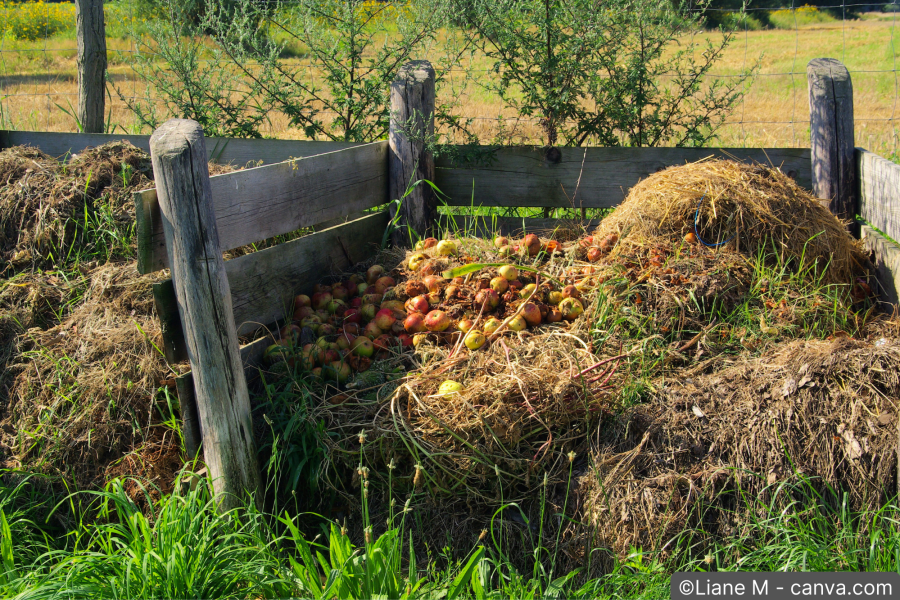 Komposthaufen