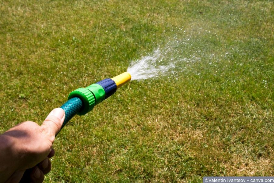 Rasen wird mit gartenschlauch bewaessert