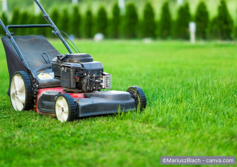 Rasenmaeher auf einer Rasenflaeche