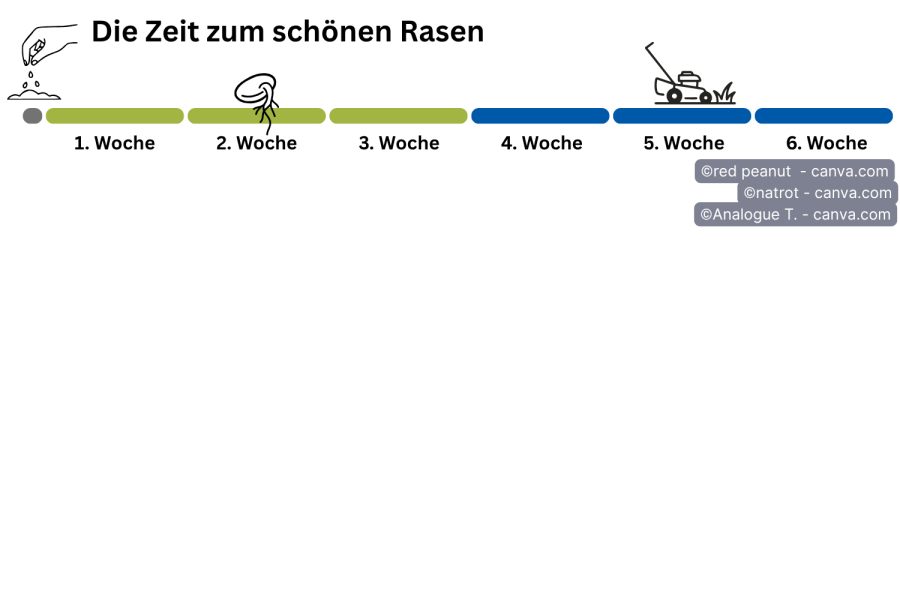 Grafik Zeitplanung für-Rasen-säen