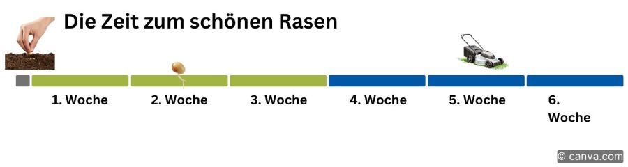 Grafik Zeitplanung für-Rasen-säen