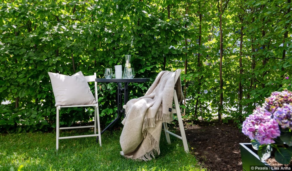 Eine Gartenszene mit Tisch und Stühlen umgeben von üppigem Grün