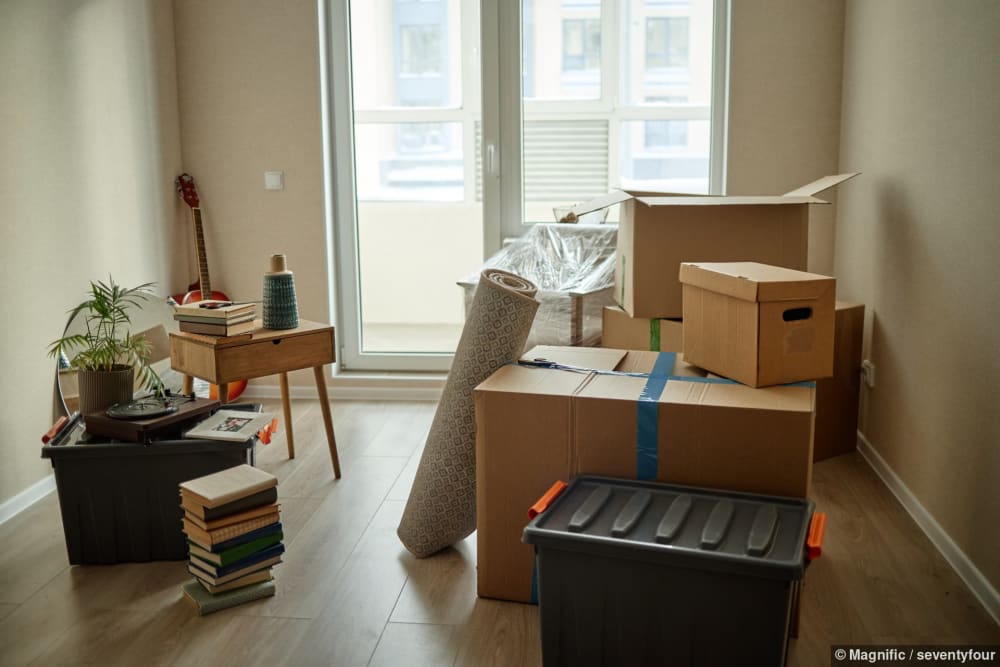 Gepackte Kisten und Haushaltsgegenstaende warten auf den Einzug in die Wohnung