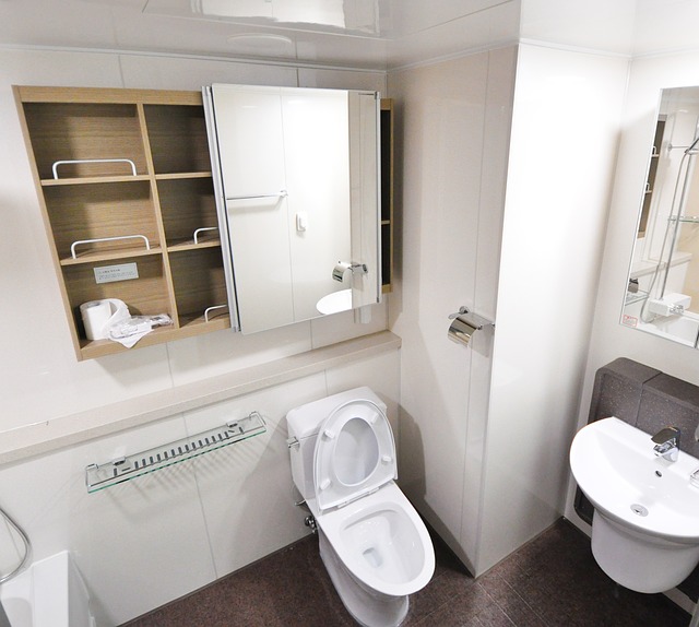 Stand WC
