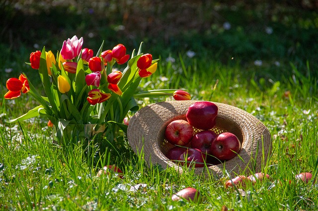 Hortikultur