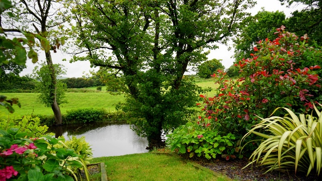 Gepflegter Garten mit Aussicht