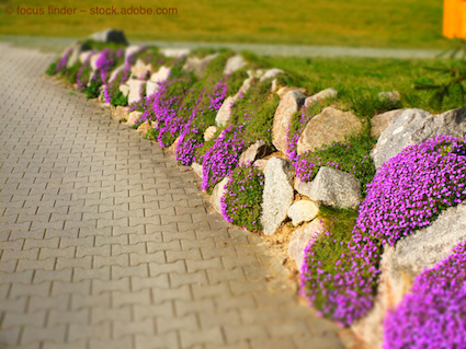Steinmauer mit Pflanzen