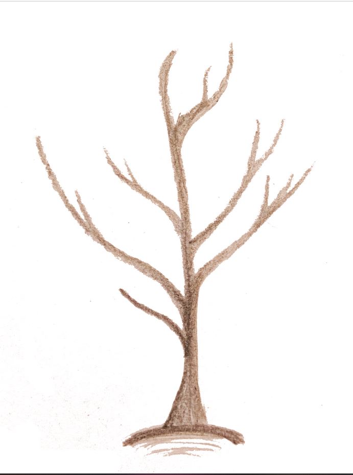 Baum schneiden