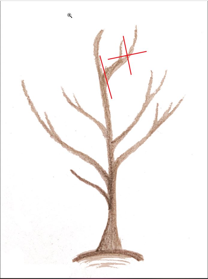 Baum schneiden2