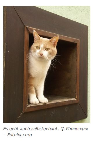 Katzenklappe selbstgebaut