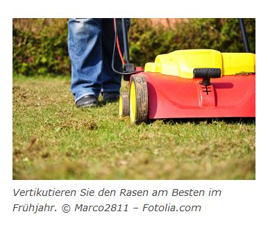 Vertikulieren im Frühjahr