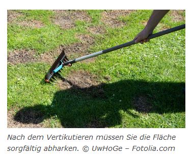 abharken nach dem Vertikulieren