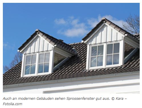 Sprossenfenster